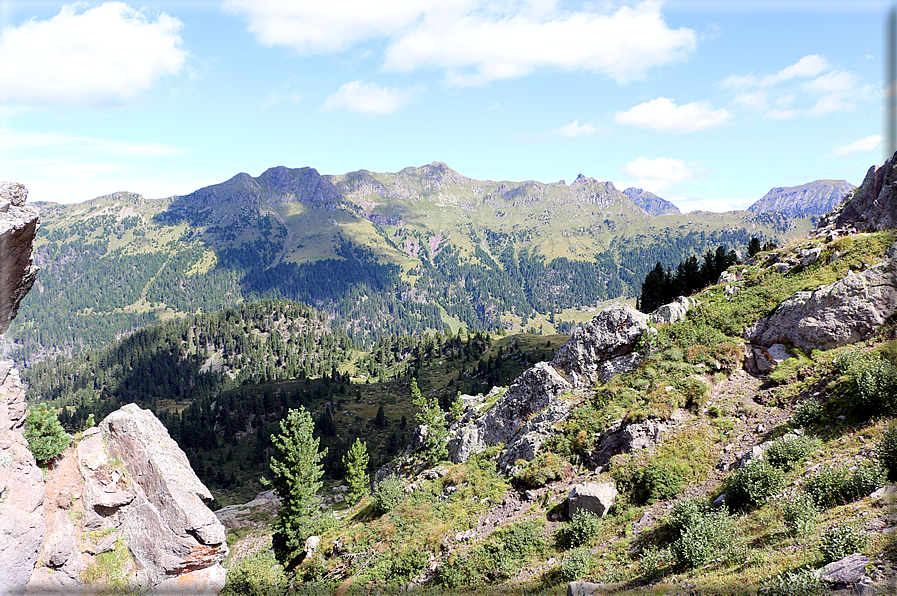 foto Forcella Pala del Becco